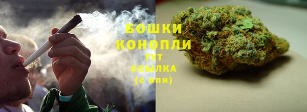 mix Белокуриха