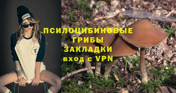 mix Белокуриха